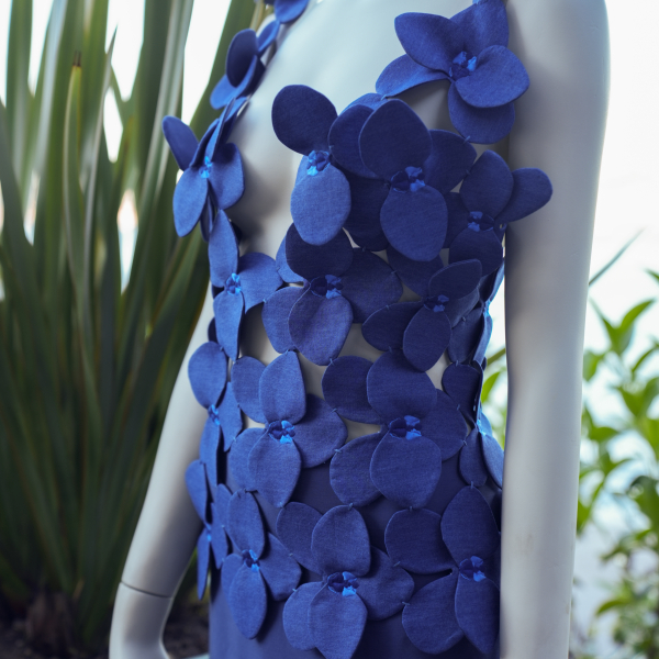 ORCHIDACEAE